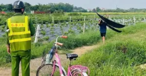 Máy bay phải chuyển hướng hạ cánh vì diều sáo