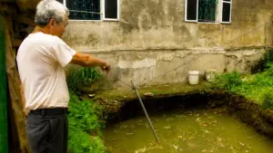 Hố sụt sâu 5m bất ngờ xuất hiện sát móng nhà dân ở Thái Nguyên, gây lo ngại về an toàn và nguy cơ sạt lở tiếp diễn.