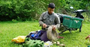 Săn mật ong rừng