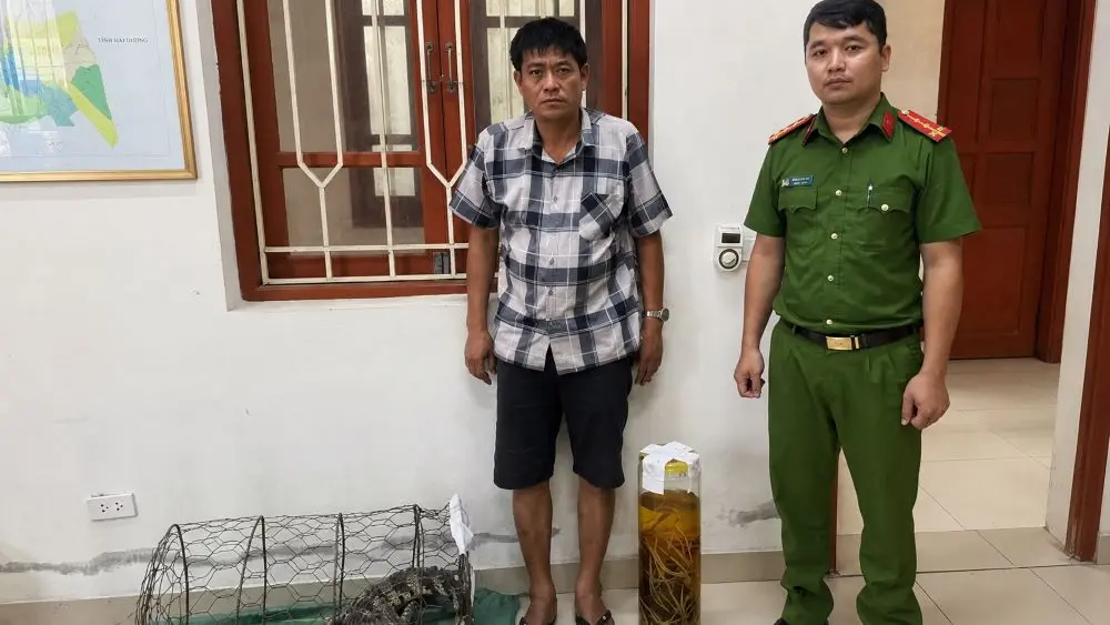 Ngâm rượu tay gấu trái phép, người đàn ông bị khởi tố. Vụ việc gióng lên cảnh báo về hành vi tàng trữ động vật hoang dã