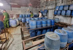 Khởi tố chủ cơ sở sản xuất giá đỗ ở Hưng Yên vì sử dụng chất cấm kích thích sinh trưởng, gần 800kg sản phẩm đã tiêu thụ.
