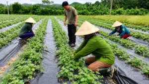 Thu hồi nhà xây sai phép sẽ xử lý thế nào? Những quy định pháp lý và các trường hợp được xem xét theo quy định hiện hành.