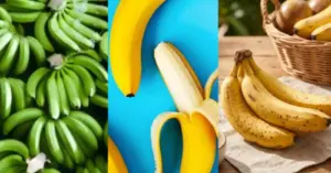 Lợi ích của chuối qua từng giai đoạn chín bạn cần biết