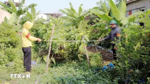 Hải Phòng thu hồi hơn 5.000m2 đất thực hiện dự án điểm dân cư mới thôn Hợp Nhất. Xem chi tiết tiến độ giải phóng mặt bằng và quy định pháp luật.