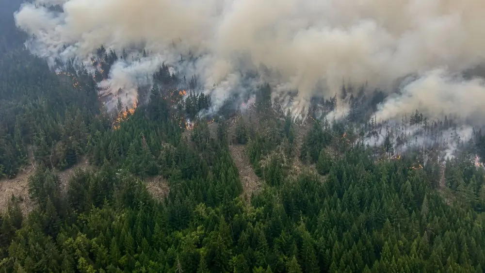 Canada điều máy bay sơ tán người dân giữa cháy rừng tại British Columbia khi khói lửa lan rộng, cập nhật diễn biến mới nhất
