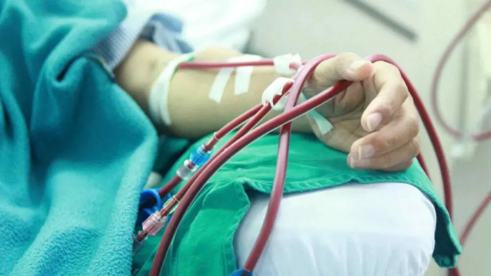 Ước mơ duy nhất của cô gái suy thận ở tuổi 22 là được ghép thận để tiếp tục sống và học tập. Câu chuyện khiến nhiều người xúc động.