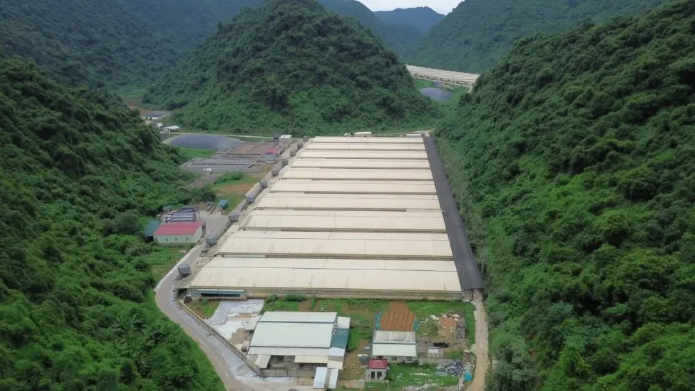 Vụ tai nạn tại trang trại lợn ở Thanh Hóa khiến thêm 2 nạn nhân tử vong, nâng số người chết lên 5. Diễn biến vụ việc đang được làm rõ.