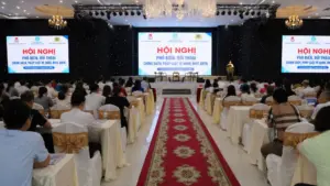 Hải Phòng có hơn 900 đơn vị nợ BHXH với tổng số tiền trên 500 tỷ đồng. Xem thực trạng và các giải pháp xử lý mới nhất.
