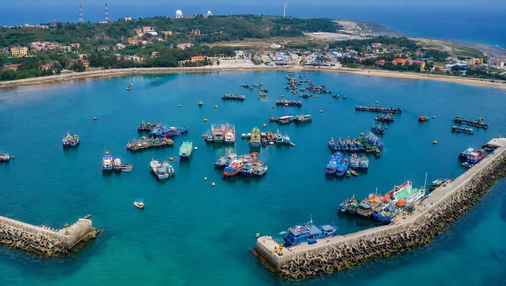 Nông nghiệp đảo Bạch Long Vĩ từng bước phục hồi sau bão, vượt khó để khôi phục sản xuất và ổn định đời sống người dân