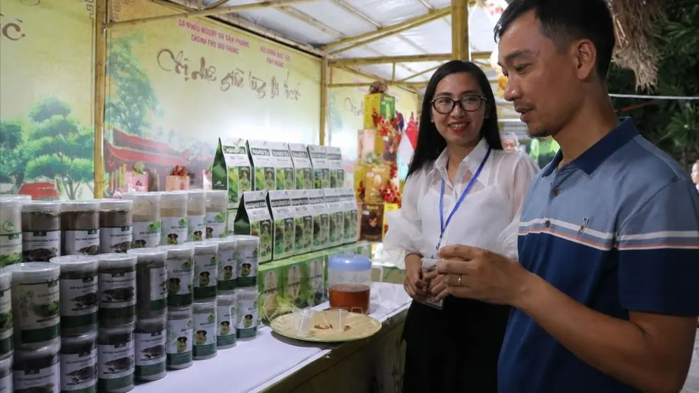 Chợ quê thời Mạc Hải Phòng khai mạc với không gian OCOP đặc sắc, thu hút người dân tham quan, mua sắm và trải nghiệm sản phẩm địa phương.