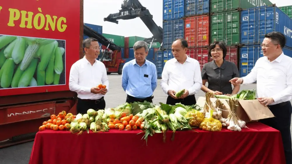 Hội Nông dân Hải Phòng hỗ trợ tiêu thụ nông sản tại cảng GreenPort, góp phần giúp nông dân giảm áp lực được mùa rớt giá, ổn định đầu ra.