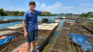 Cá lồng sông Son giúp người dân Phong Nha thu gần 50 tỷ đồng mỗi năm, trở thành đặc sản vùng di sản và hút khách du lịch
