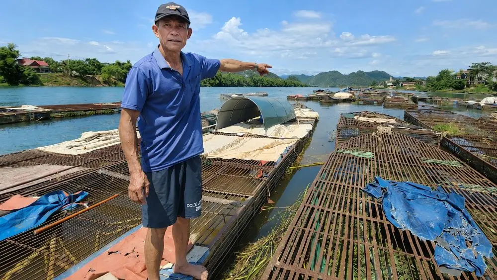 Cá lồng sông Son giúp người dân Phong Nha thu gần 50 tỷ đồng mỗi năm, trở thành đặc sản vùng di sản và hút khách du lịch