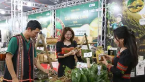 Phiên chợ sâm Ngọc Linh và dược liệu Đà Nẵng quy tụ hơn 50 đơn vị tham gia, thu hút đông đảo người dân và du khách.