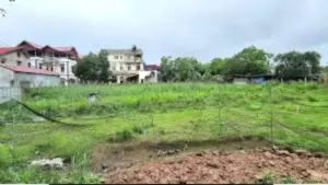 Tranh chấp đất thừa kế giữa 11 anh em ruột kéo dài dù một người đã đứng tên sổ đỏ hơn 20 năm. Xem góc nhìn pháp lý của vụ việc.