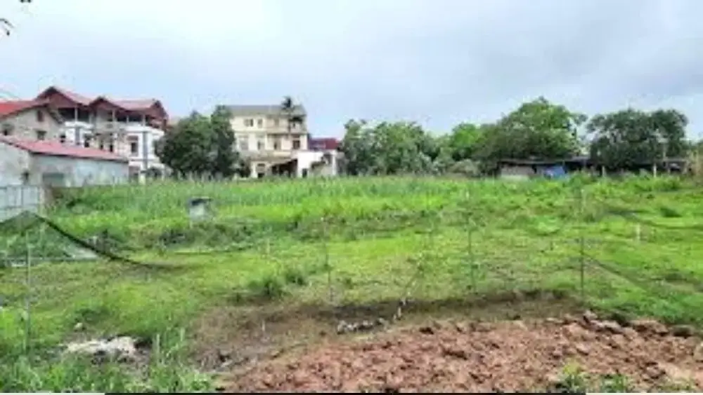 Tranh chấp đất thừa kế giữa 11 anh em ruột kéo dài dù một người đã đứng tên sổ đỏ hơn 20 năm. Xem góc nhìn pháp lý của vụ việc.