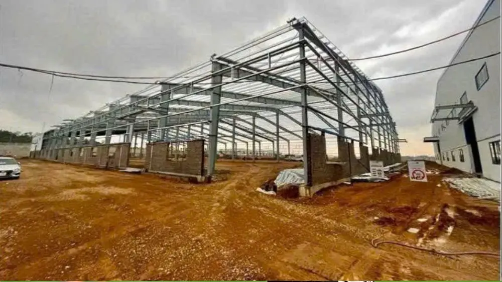 Giám đốc một công ty bị khởi tố vì vi phạm quy định về an toàn lao động sau vụ tai nạn gây hậu quả chết người.