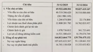 Thaco báo lãi hơn 7.000 tỷ đồng năm 2025, đồng thời dư nợ ngân hàng tăng, thu hút sự quan tâm về tình hình tài chính doanh nghiệp.