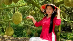 Chủ vườn ở An Giang mở cửa đón khách tham quan, bán sầu riêng giá cao gấp 3 lần thị trường nhờ mô hình kết hợp du lịch trải nghiệm.