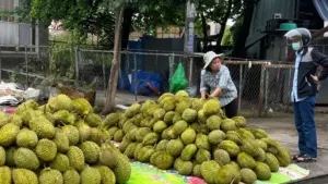 Sầu riêng ngày càng rẻ, nhiều điểm bán tại TPHCM hạ giá mạnh. Tìm hiểu nguyên nhân và diễn biến mới của thị trường.