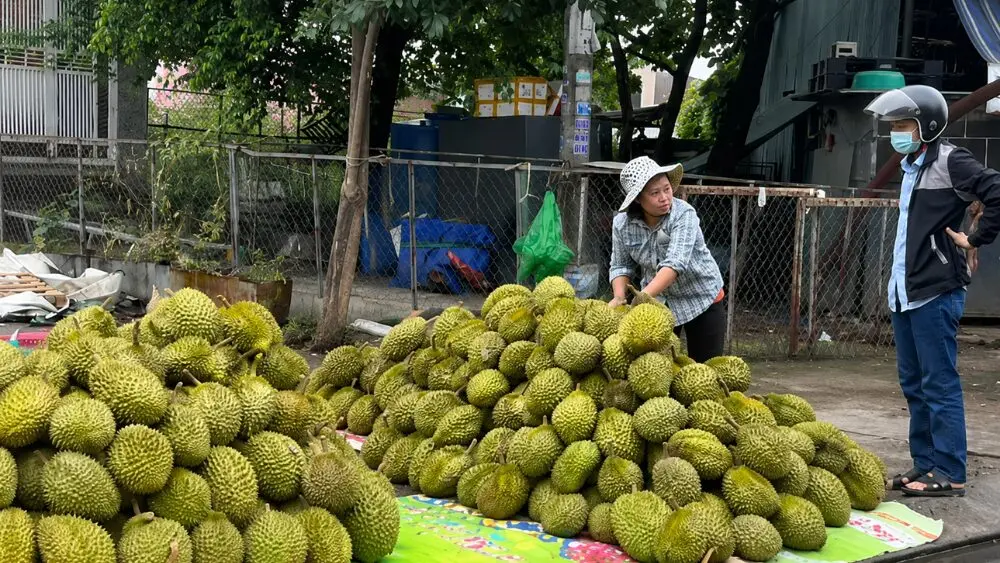 Sầu riêng ngày càng rẻ, nhiều điểm bán tại TPHCM hạ giá mạnh. Tìm hiểu nguyên nhân và diễn biến mới của thị trường.