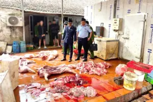 Hưng Yên phát hiện gần 1 tấn thịt lợn nhiễm dịch tả lợn châu Phi tại cơ sở sơ chế, vụ việc đang được cơ quan chức năng xử lý.