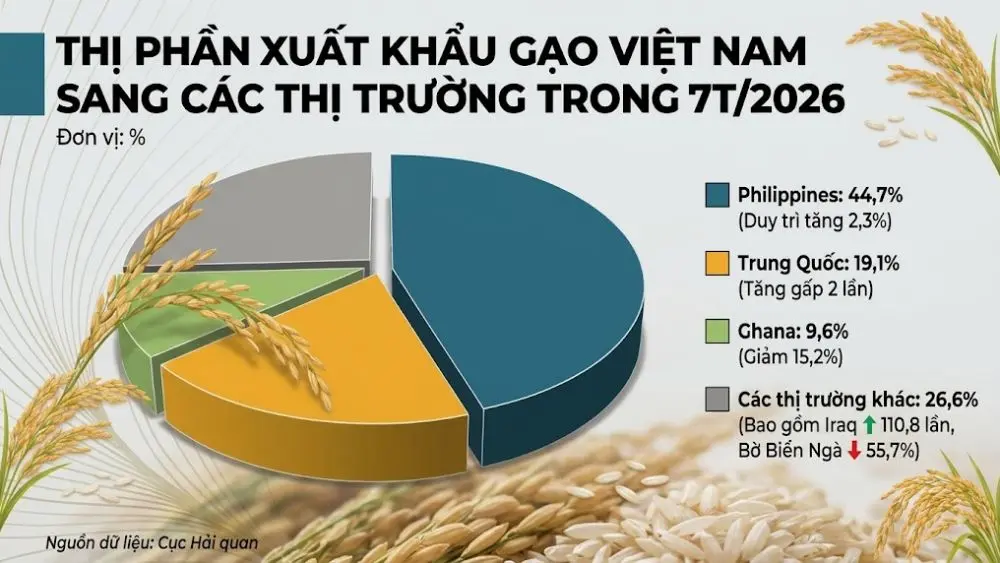 Xuất khẩu gạo Việt Nam sang Trung Quốc tăng gấp 2 lần, sang Iraq tăng vọt 110,8 lần trong 7 tháng đầu năm 2026. Tìm hiểu ngay chi tiết bức tranh thị trường
