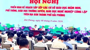 Hải Phòng dự kiến giảm 544 trường học công lập các cấp sau sắp xếp nhằm tinh gọn bộ máy, tối ưu nguồn lực và nâng cao chất lượng giáo dục.