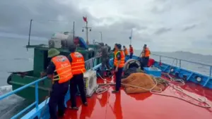 Phát hiện hơn 70 tấn dầu FO và 41 thùng sơn nghi nhập lậu trên tàu HP-3789 ở vùng biển Hải Phòng. Vụ việc đang được xác minh.