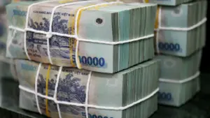 Vợ chồng ở Hải Phòng vay ngân hàng 7,5 tỷ đồng kinh doanh gạch nhưng sau hơn 2 năm còn nợ hơn 8,8 tỷ đồng.