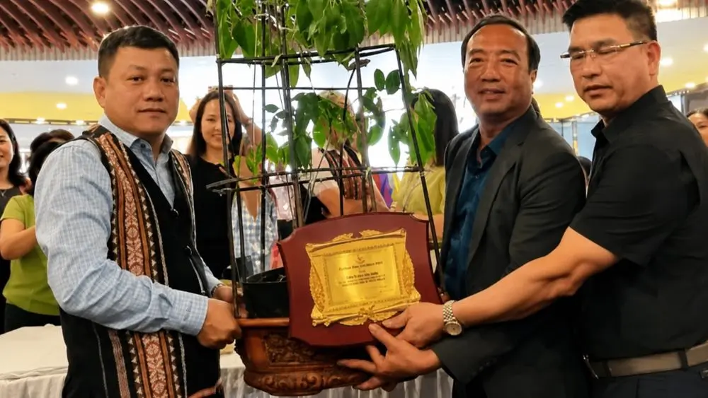 Củ sâm Ngọc Linh hơn 35 năm tuổi được đấu giá 725 triệu đồng, thu hút sự quan tâm tại sự kiện tôn vinh dược liệu quý Việt Nam.
