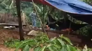 Nghi phạm sát hại nữ nhân viên thư viện ở Đắk Lắk được xác định là giáo viên cùng trường. Hiệu trưởng nói gì về người này?