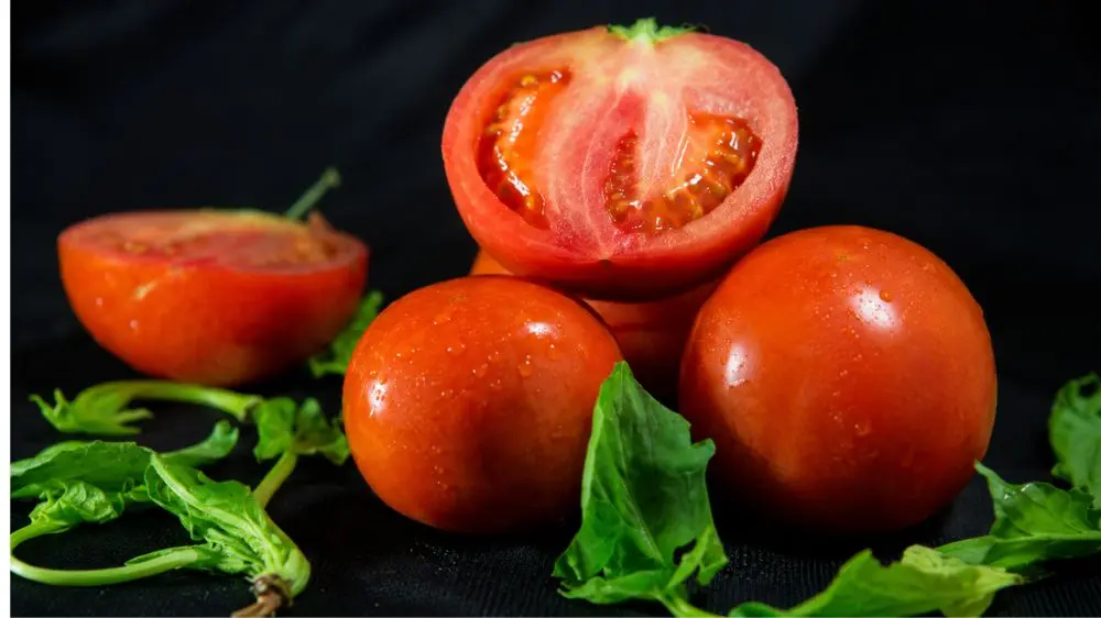 Cách ăn cà chua đúng giúp giải phóng lycopene tốt hơn, kết hợp với trứng tạo món ăn ngon và bổ sung dưỡng chất cho cơ thể.