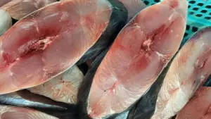 5 loại cá giá rẻ bổ ngang cá hồi, giàu dinh dưỡng, dễ mua ở chợ Việt. Xem ngay để chọn thực phẩm ngon, tiết kiệm cho gia đình.