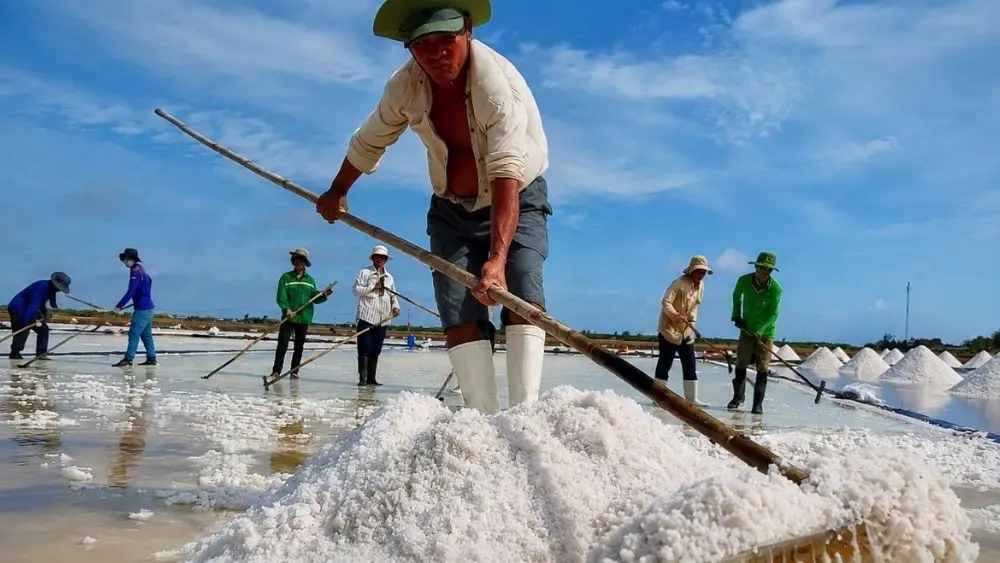 Nghề muối Bạc Liêu có lịch sử hơn 100 năm, ghi dấu cuộc mưu sinh nhọc nhằn của diêm dân và những mùa muối đầy gian khó.