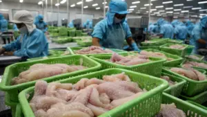 Trung Quốc chi hơn 20 tỷ USD nhập khẩu thủy sản, trong đó cá tra Việt Nam giữ vị trí chủ lực và tôm hùm đứng đầu nguồn cung.