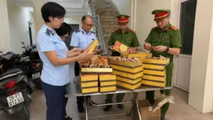 Phát hiện 200 bánh Trung thu không rõ nguồn gốc, xuất xứ trong quá trình kiểm tra tại Hà Nội.