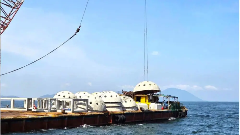 Thả rạn nhân tạo xuống biển Hà Tĩnh bằng nguồn tiền bồi thường của Formosa, góp phần phục hồi hệ sinh thái và nguồn lợi thủy sản.