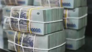 Một tổng giám đốc ở Hải Phòng trốn thuế bị phạt 550 triệu đồng khi dùng tài khoản nhân viên nhận tiền bán hàng, không xuất hóa đơn và kê khai doanh thu.