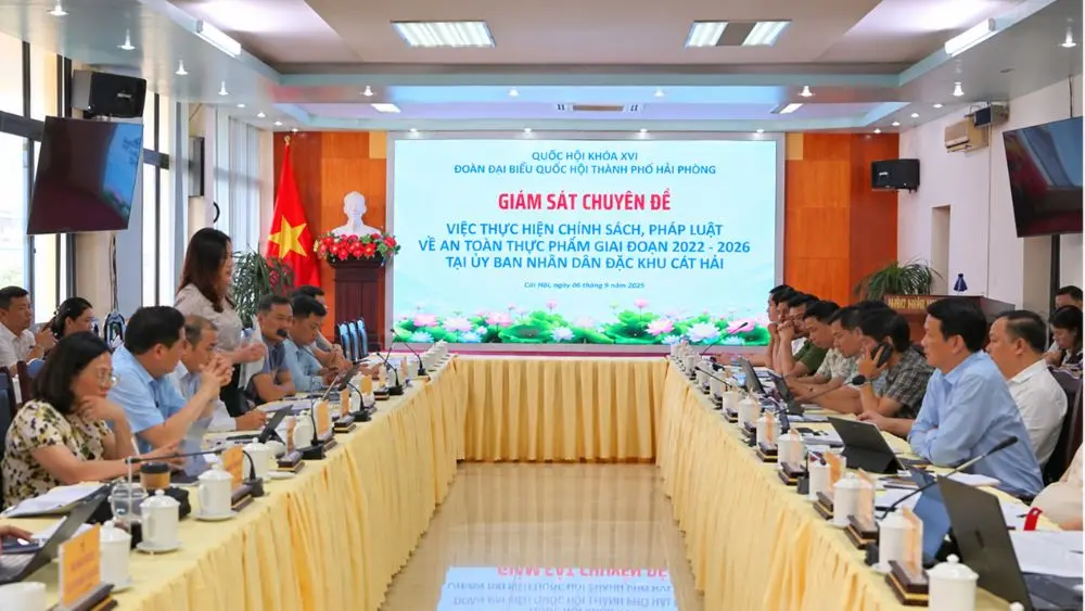 Đoàn đại biểu Quốc hội Hải Phòng giám sát công tác an toàn thực phẩm, chú trọng kiểm soát nguyên liệu đầu vào cho học sinh và người tiêu dùng.
