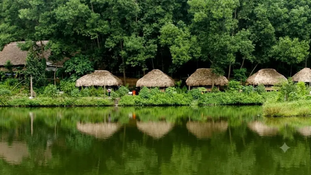 Làng du lịch sinh thái Thái Hải (Thái Nguyên) thu hút du khách nhờ mô hình độc đáo: gần 200 người dân cùng sống, làm việc và chia sẻ sinh hoạt cộng đồng