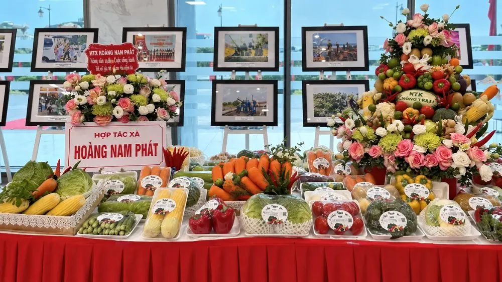 Hợp tác xã Hoàng Nam Phát phát triển nông sản an toàn theo VietGAP, xây dựng sản phẩm OCOP và mở rộng thị trường tại Hải Phòng.