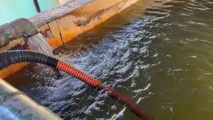 Người dân xã Tân Minh, Hải Phòng mong sớm được dùng nước sạch khi nguồn nước sinh hoạt hiện nay không đảm bảo chất lượng.