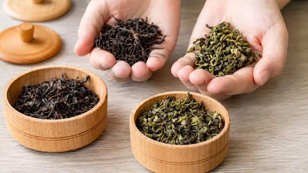 Uống trà mỗi ngày có thể hỗ trợ sức khỏe đường ruột, trao đổi chất và tâm trạng, nhưng cần lưu ý caffeine và khả năng ảnh hưởng hấp thụ sắt.