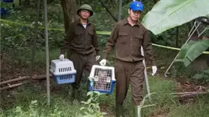 17 cá thể động vật hoang dã được thả về VQG Phong Nha - Kẻ Bàng sau cứu hộ, góp phần bảo tồn đa dạng sinh học.