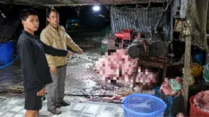 400 tấn heo bệnh, heo chết bị đưa ra thị trường, thu lợi hơn 10 tỷ đồng. Vụ việc đặt ra câu hỏi về lỗ hổng kiểm soát an toàn thực phẩm.