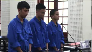 Ba thanh niên ở Nghệ An lĩnh án vì mua bán trái phép chất ma túy. Xem mức phạt dành cho từng bị cáo.