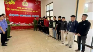 Hai sinh viên cùng 11 đối tượng bị khởi tố sau vụ đánh nhau trên đường phố. Diễn biến vụ việc và thông tin liên quan.