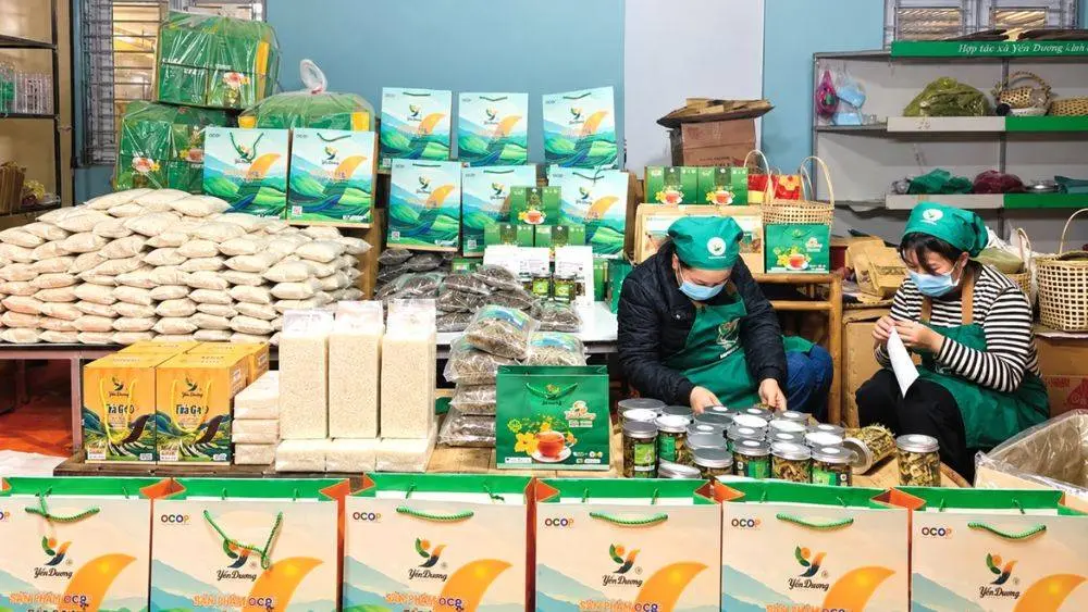 Sản phẩm OCOP vùng cao Thái Nguyên mở ra triển vọng phát triển nông sản địa phương, nâng cao giá trị sản phẩm và tạo sinh kế cho người dân