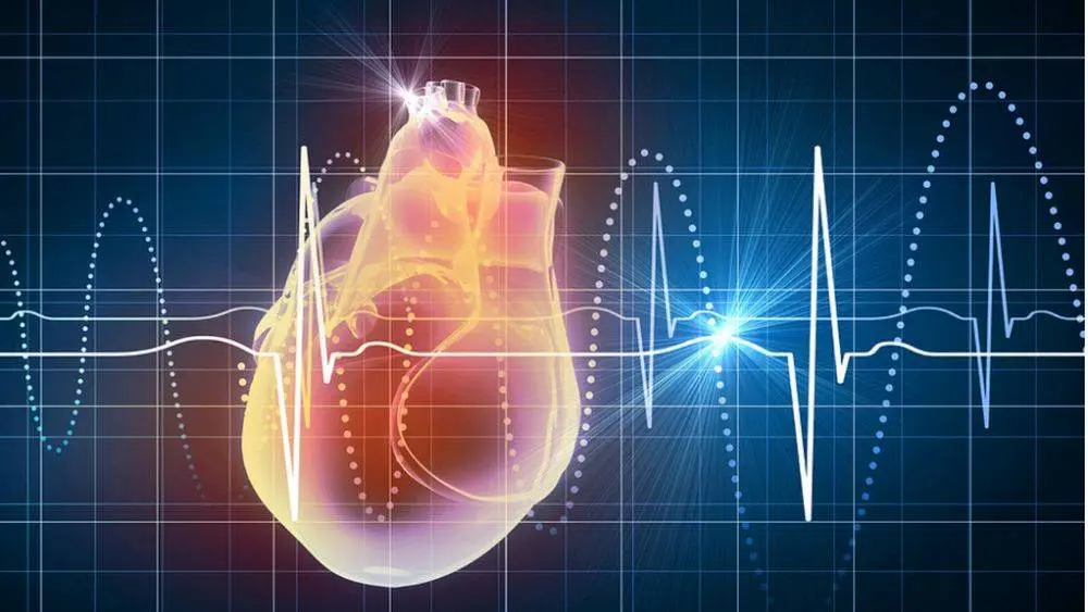 Nhận biết sớm 5 dấu hiệu cảnh báo suy tim phổ biến nhưng dễ bị bỏ qua giúp thăm khám kịp thời và bảo vệ sức khỏe tim mạch hiệu quả.